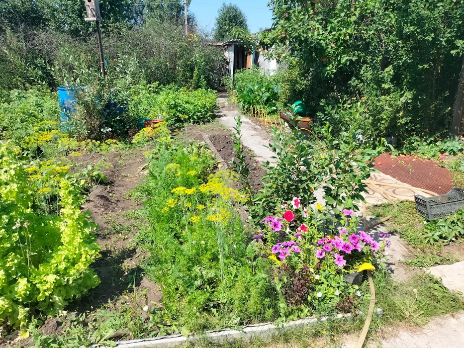Продам дачу,общество Эврика