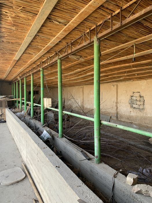 Yer sotiladi 5 sotix