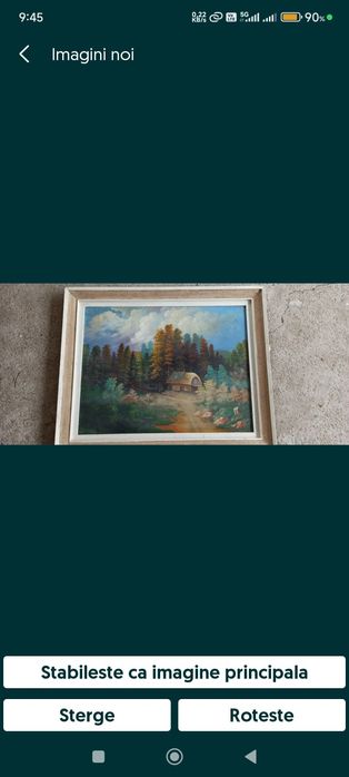 Tablouri in ulei pe panza semnate