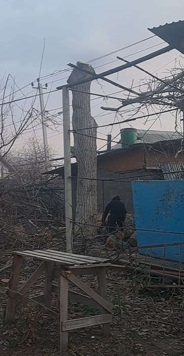 Продам ствол дерева ОРЕХ