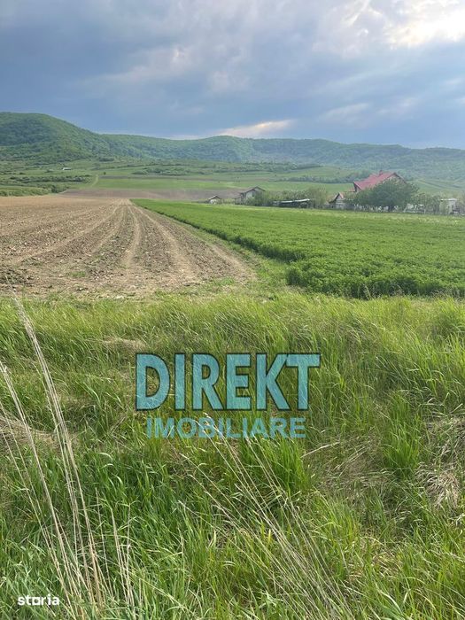 Teren de vanzare, localitatea Arcalia