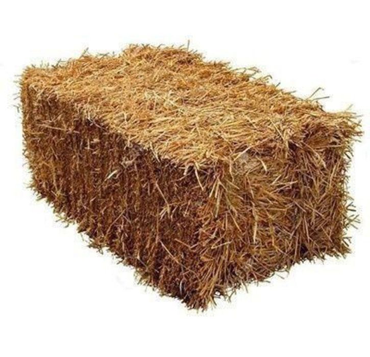 Samon Mayda Somon Press (Dastavka) Qamich qamish