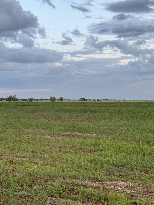 Продается КХ !!!