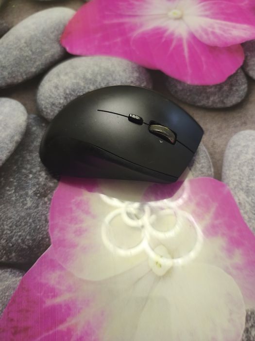 Mouse Logitech Performance Mx