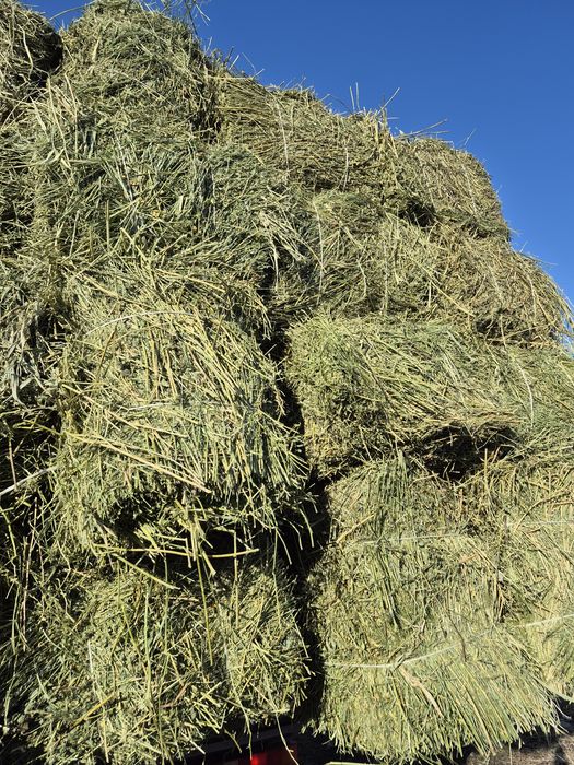 Сено, люцерно с доставкой