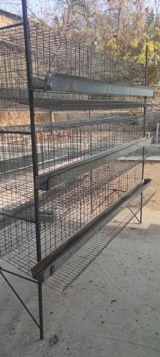 Клети для кур несушек