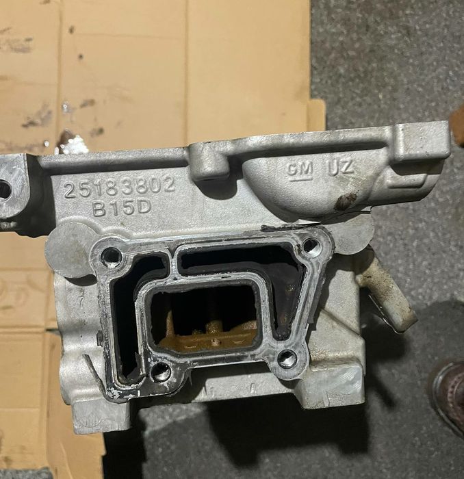 Jentra GM rodnoy galofka srochna sotlari