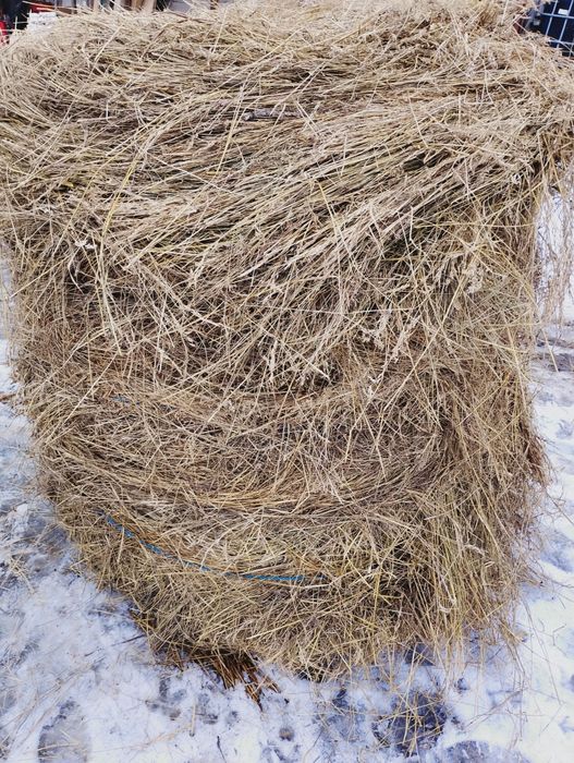 Vând baloți fan rotunzi
