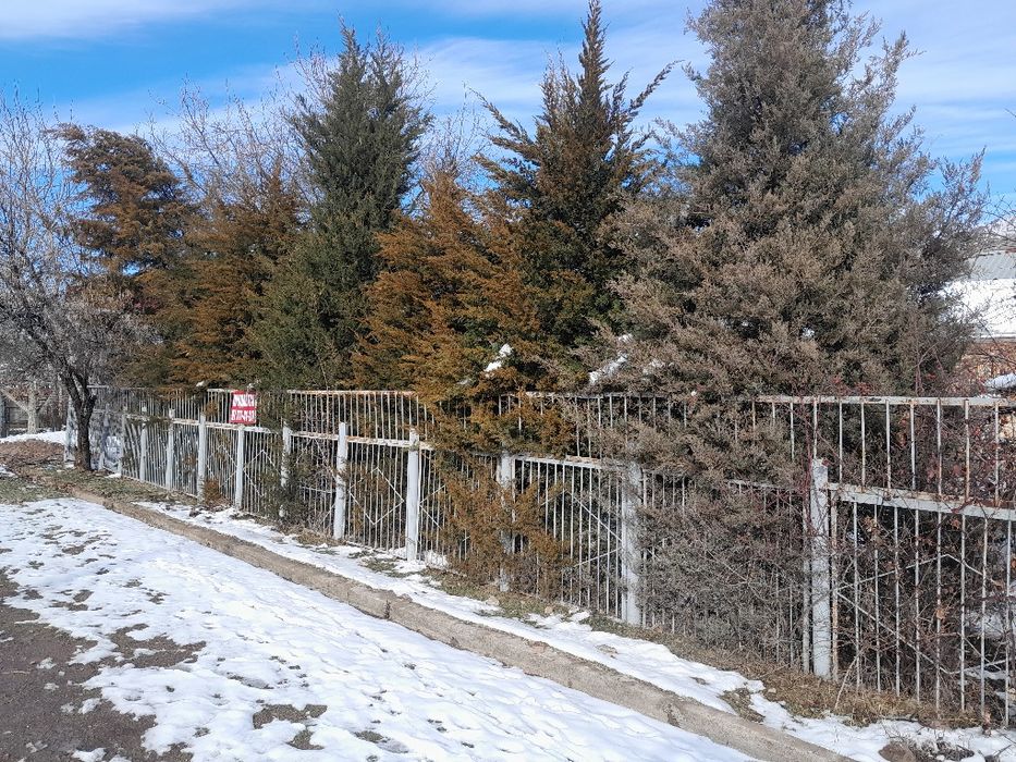 Чорвоқ йўлида .6 сотх 65,000