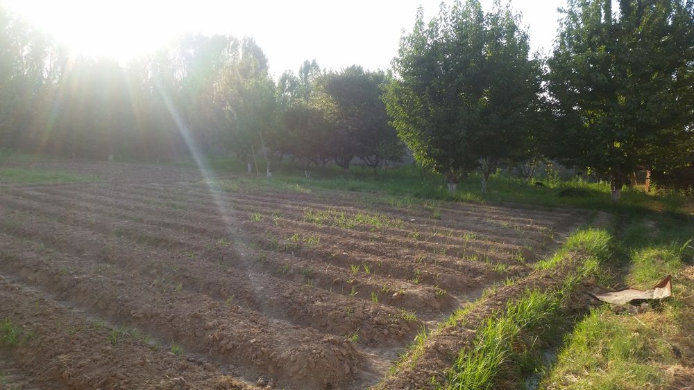 Продается земельный участок. Ер сотилади.