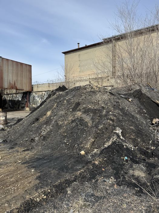 Отдам золу бесплатно