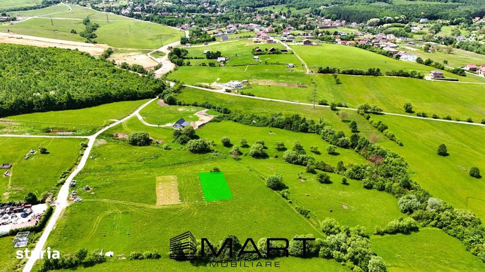 Teren extravilan 600mp in Tocile de Jos
