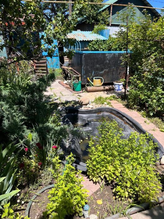 Талгарские дачи общество ветеран