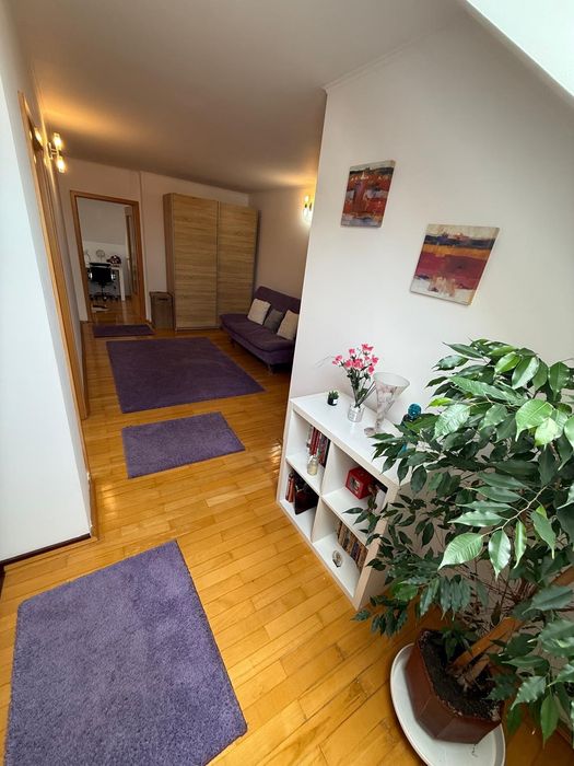 Vand casa ultracentral în Sebes