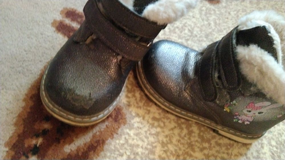 Осенний отдам не дорого