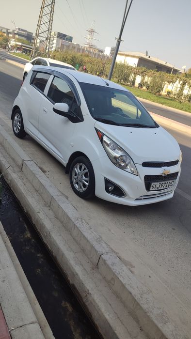 Spark optimum+ tozza 2019