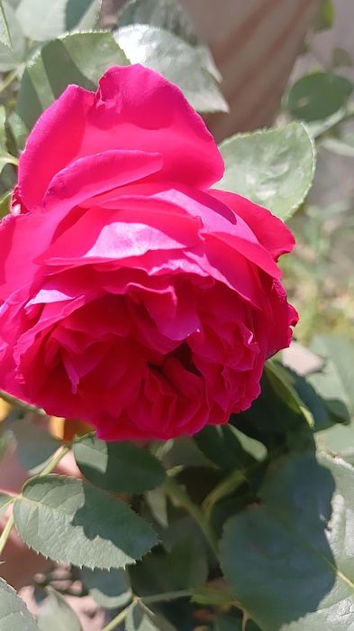 Продам срочно дом!