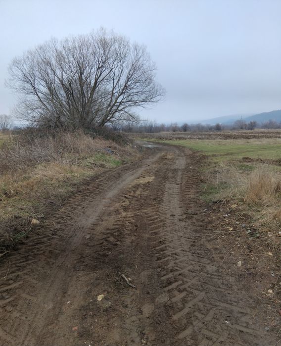 Продава се Парцел в с. Самораново, Област Кюстендил - 7100 кв.м за 15 €/кв.м - Снимка #3