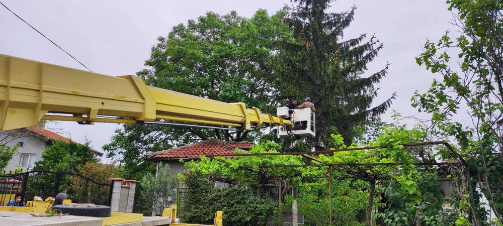 Вишки под наем до 30м.  Рязане на дървета