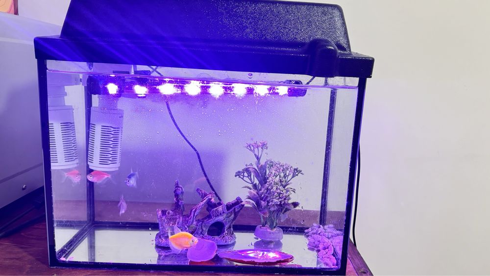 Продам аквариум с рыбкой
