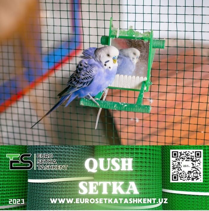 Qushlar uchun qush setka rulon setka yevrozabor evrozabor evro setka