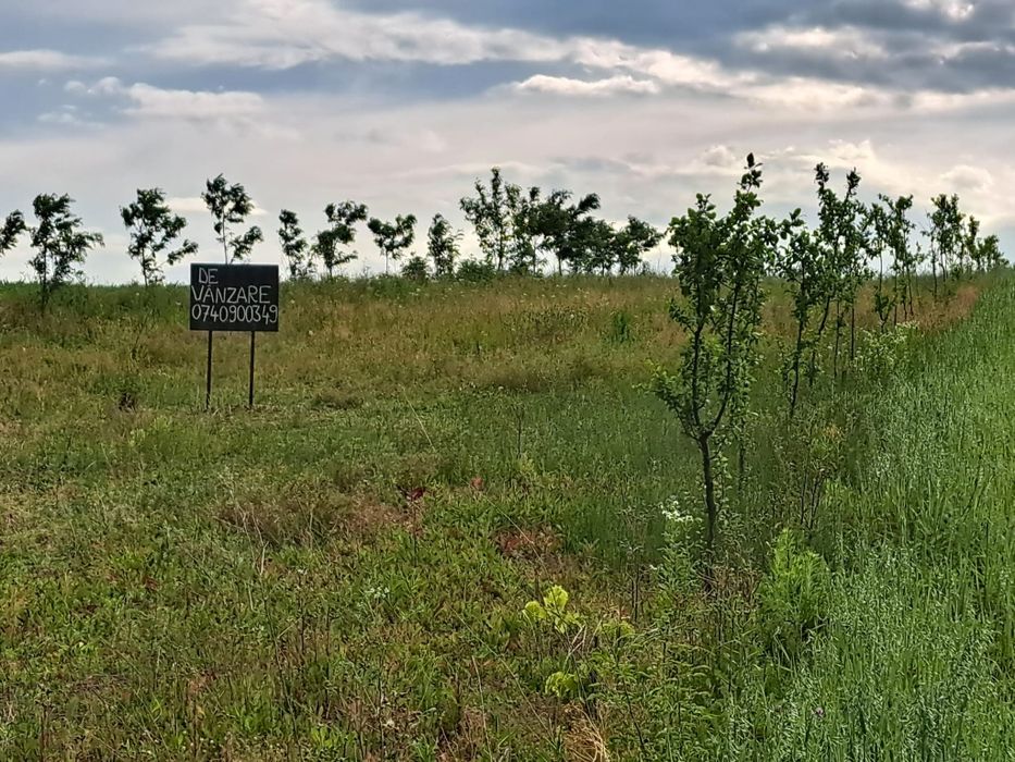 2900m2 teren intravilan in comuna Ion Creanga jud Neamt