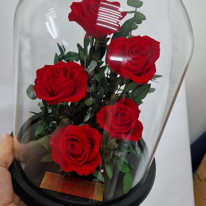 Цветы розы не вянут