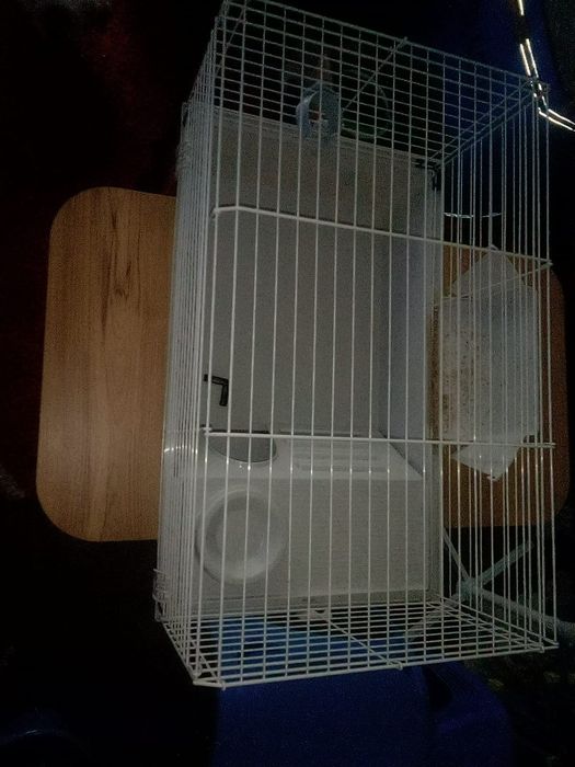 Vand cusca pentru animale!