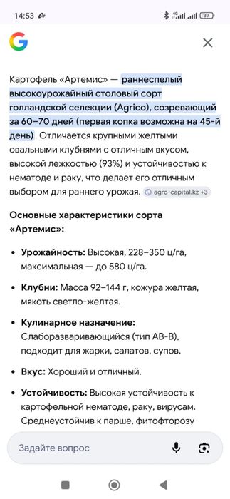 Семена раннего картофеля