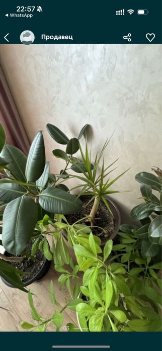 Таунхаус двухэтажный