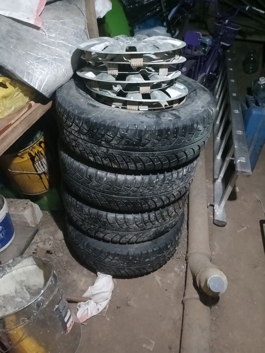 Шипованая резина