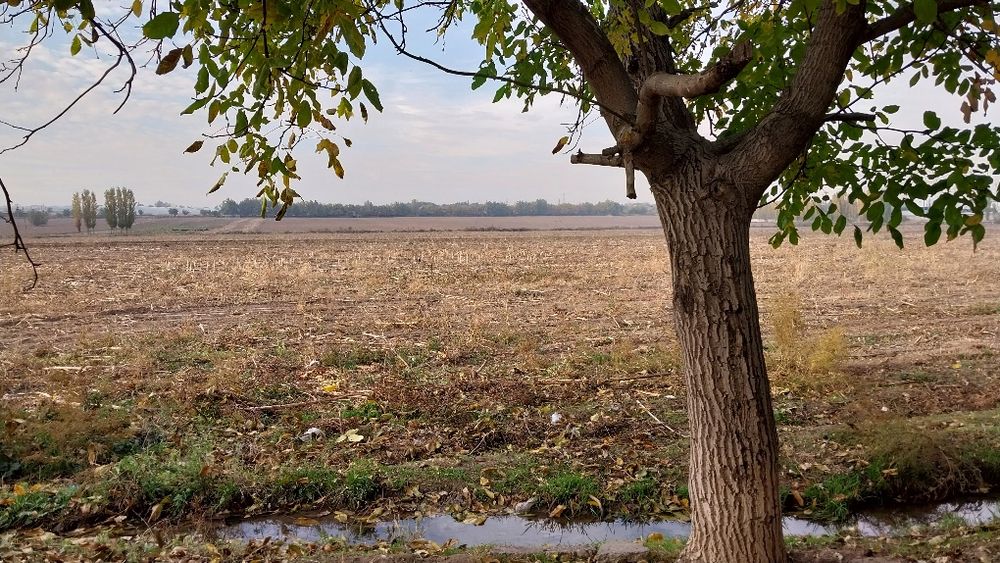 Уй сотилади. Кибрай тумани Дархан махалласида.