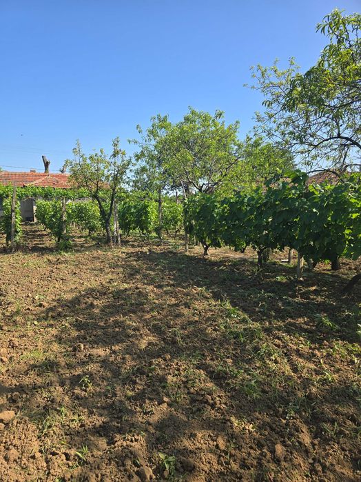 Продава се Къща в с. Калипетрово, Област Силистра - 45 кв.м за 680 €/кв.м - Снимка #7