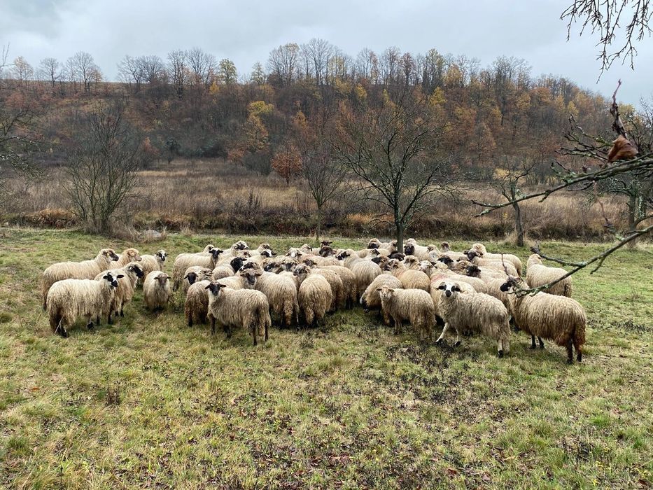 Vind oi informati.la numerele de telefon