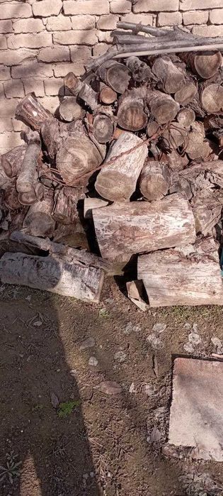 Дрова o‘tin отин утин, сотилади нарх келишилади, битта газель толади