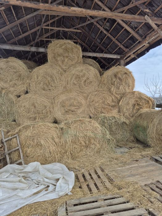 Vând baloți de fan