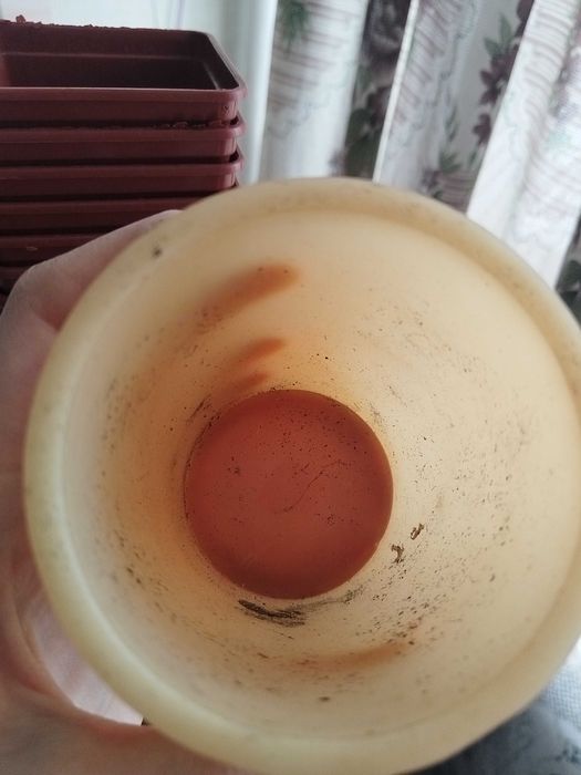 Горшочки для рассады