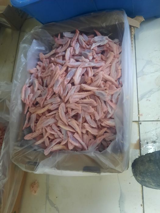 Суйектер отход для собака и кошки