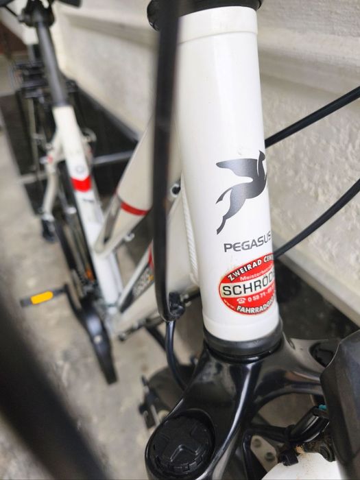 Pegasus 28 Germaniya velosipedi