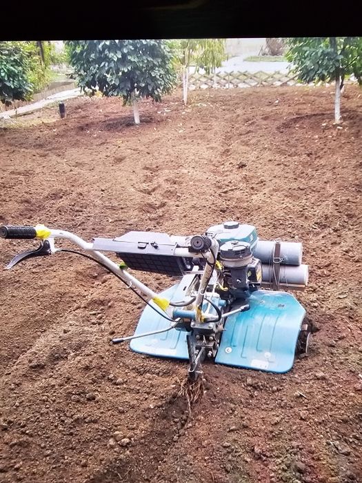 Servicii de  gradinarit intretinere spatii verzi
