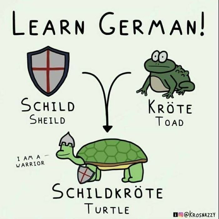 Cursuri de limba germană si limba spaniola