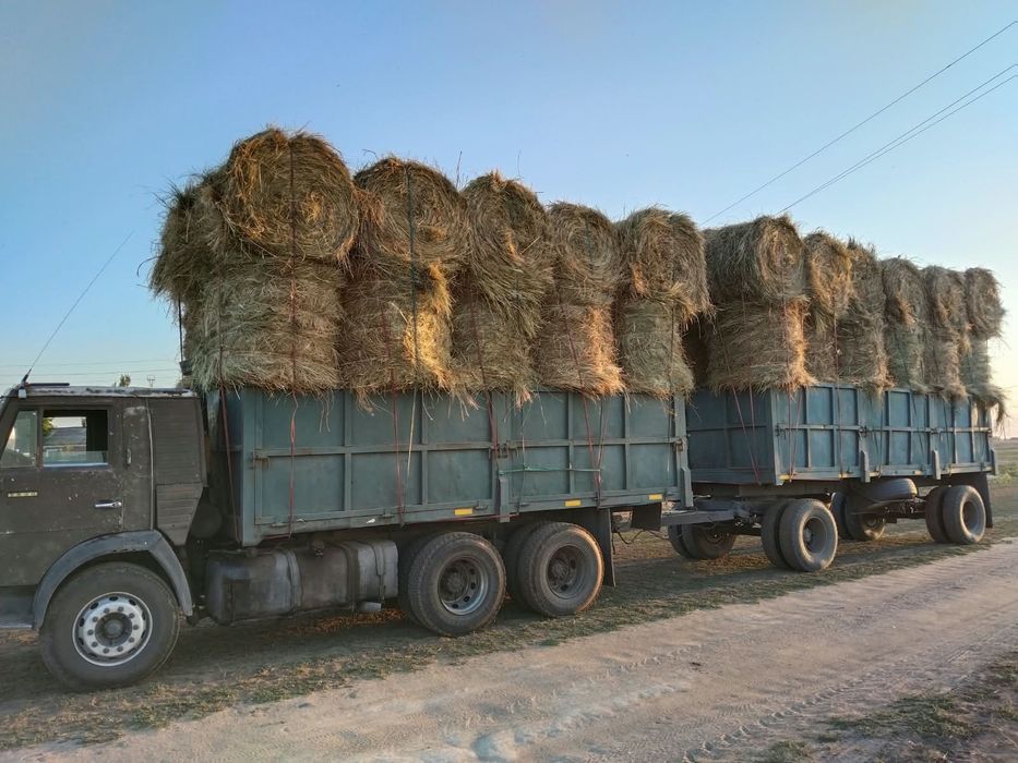 Продоже сено рулоны