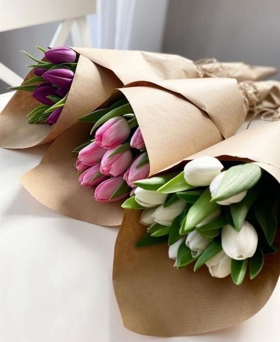 Тюльпаны премиум класса