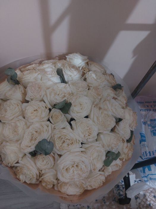 Цветы Цветы Цветы