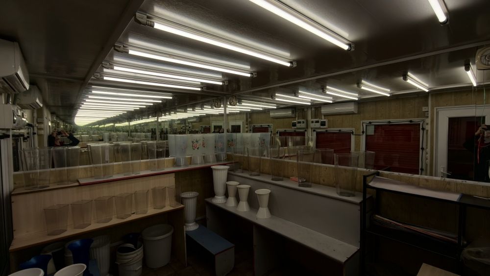 Торговый павильон (киоск)