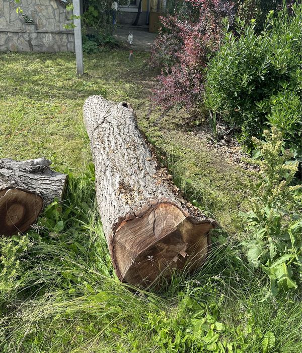 Нарязан орех може да се използва за изработка на мебели