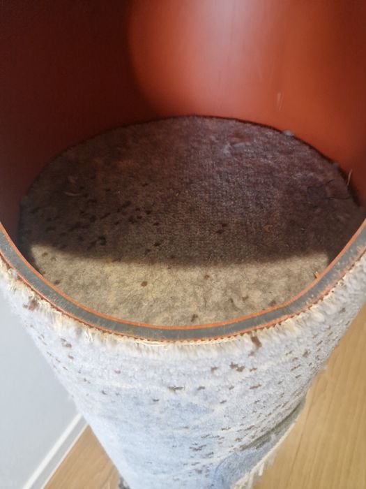 Катерушка котешка