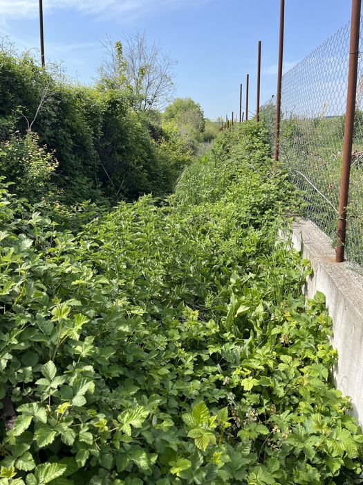 Косене на трева. Рязане на дървета