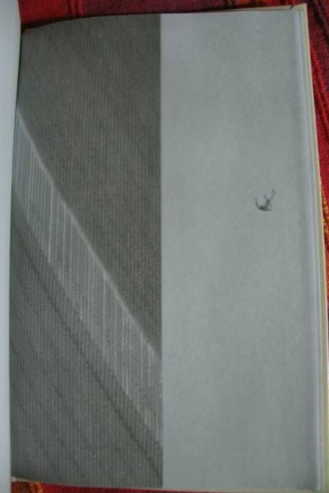 Жутко громко и запредельно близко