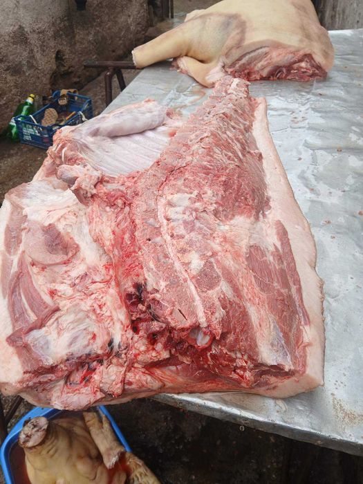 Продавам добре гледани БИО прасета